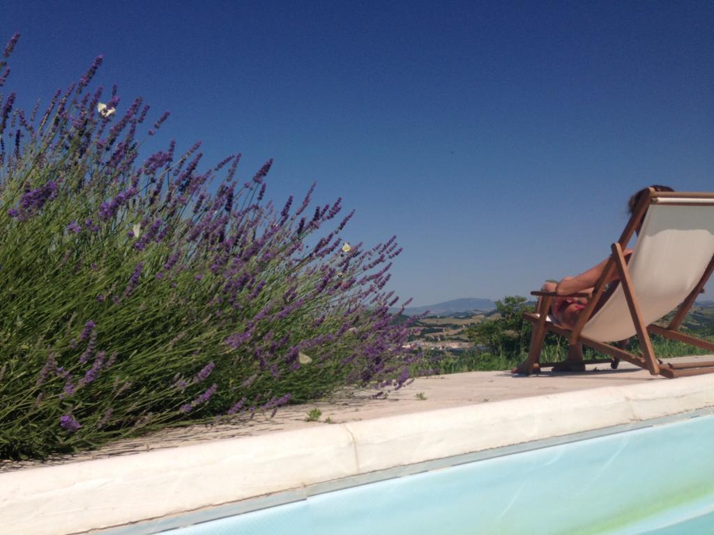 Agriturismo Il Fienile Di Ca Battista Кали Екстериор снимка