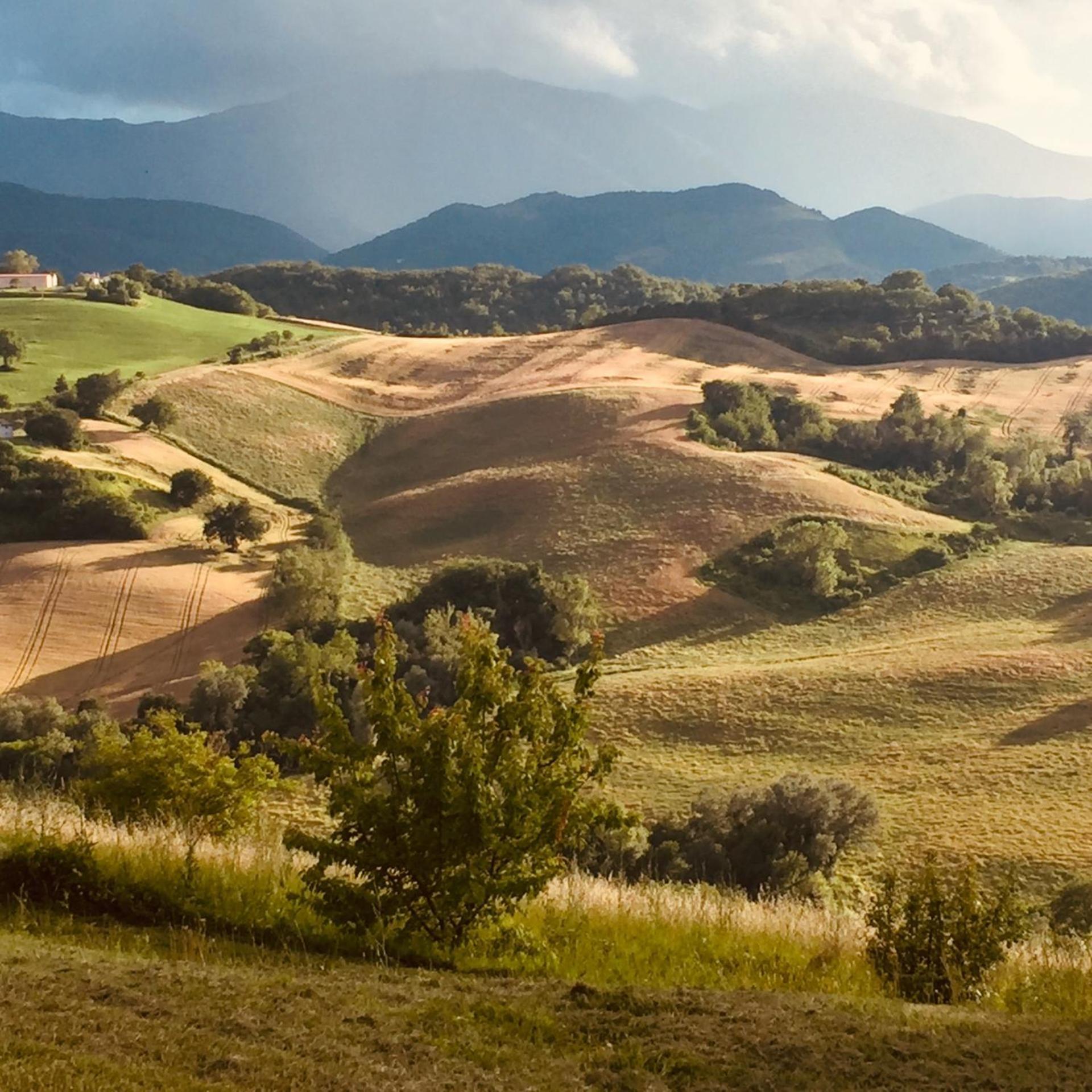 Agriturismo Il Fienile Di Ca Battista Кали Екстериор снимка