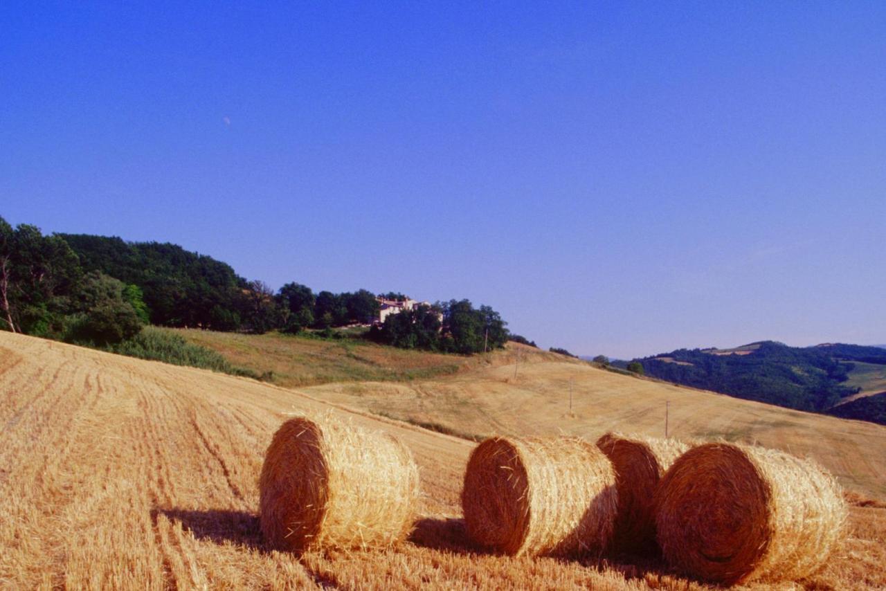 Agriturismo Il Fienile Di Ca Battista Кали Екстериор снимка